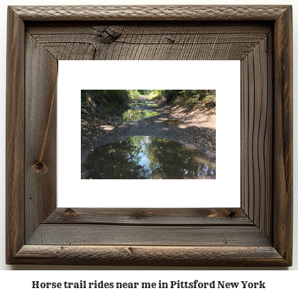 horse trail rides near me in Pittsford, New York